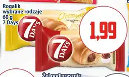 Kupiec Rogalik 7 Days oferta