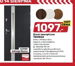 Bricomarche Drzwi zewnętrzne Temidas oferta
