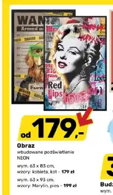 Bricomarche Obraz z podświetleniem Neon kot oferta