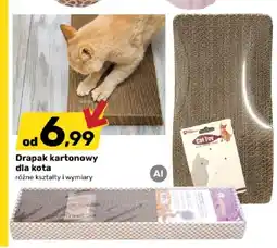 Bricomarche Drapak kartonowy dla kota oferta