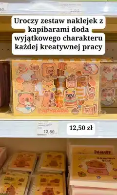 MR. DIY Zestaw naklejek Capybara oferta