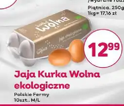 Bliski Jajka kurze Kurka Wolna ekologiczne oferta