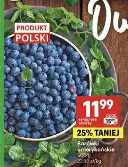 Delikatesy Centrum Borówki amerykańskie oferta
