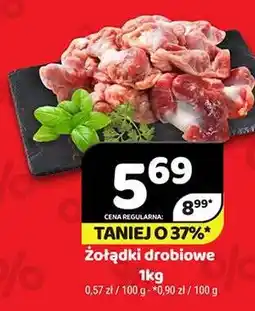 Delfin Żołądki drobiowe oferta