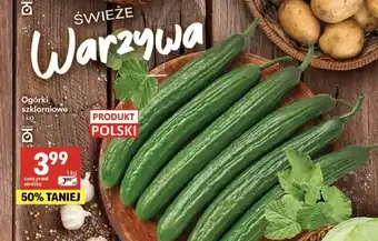 Delikatesy Centrum Ogórki szklarniowe polskie oferta