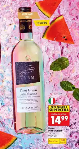 Biedronka Wino białe Pinot Grigio oferta