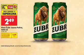 Biedronka Piwo Żubr oferta