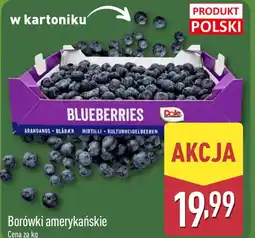 ALDI Borówki amerykańskie Polski oferta
