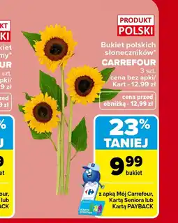 Carrefour Słoneczniki Carrefour oferta