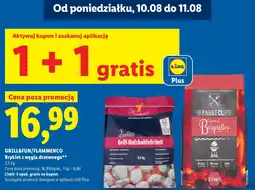 Lidl Brykiet Grill&Fun oferta