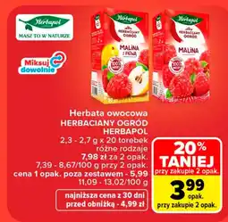 Carrefour Herbata owocowa Herbapol oferta