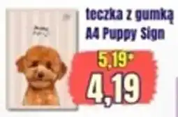 Hale Banacha Teczka z gumką A4 Puppy Sign oferta