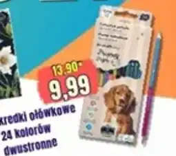 Hale Banacha Kredki ołówkowe 24 kolorów dwustronne oferta