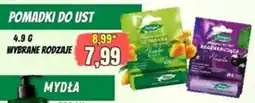 Hale Banacha Pomadki do ust oferta