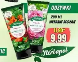 Hale Banacha Odżywki Wybrane Rodzaje oferta