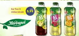 Hale Banacha Ice Tea Herbapol oferta