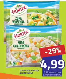 Hildebrandt Zupa Hortex oferta
