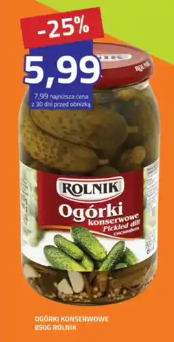 Hildebrandt Ogórki konserwowe Pickled dill cucumbers oferta