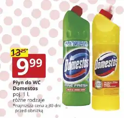 Prymus-AGD Płyn do WC Domestos oferta