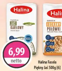 DUO-TES Halina fasola piękny jaś oferta