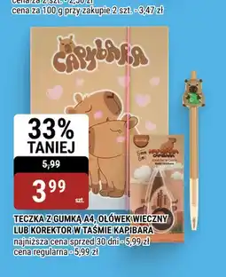bi1 Teczka z gumką A4 Kapibara oferta