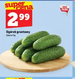 Topaz Ogórek Na dobre oferta