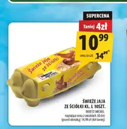 Arhelan Jajka kurze Świeże ze ściółki Invest Michel oferta