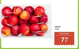 Dino Morela oferta