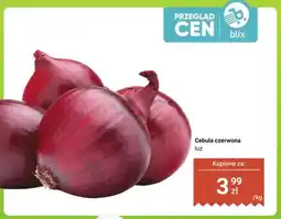 Dino Cebula czerwona luz oferta