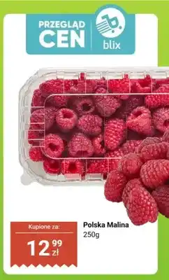 Dino Malina polska oferta
