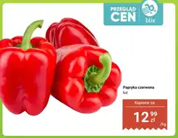 Dino Papryka czerwona luz oferta