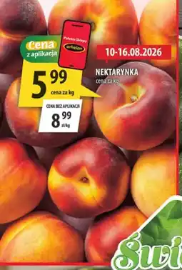 Arhelan Nektarynka oferta