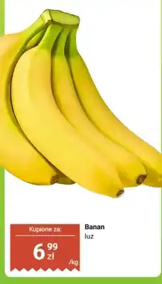 Dino Banan luz oferta
