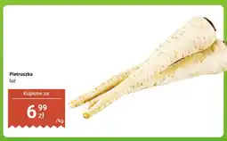 Dino Pietruszka luz oferta