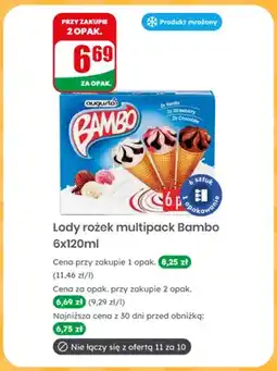 Dino Lody rożek Augusto Bambo 6-pak oferta