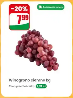Dino Winogrono ciemne oferta