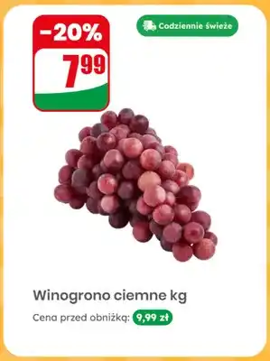 Dino Winogrono ciemne oferta