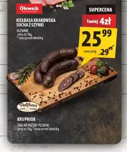 Arhelan Krupniok Pelikan oferta