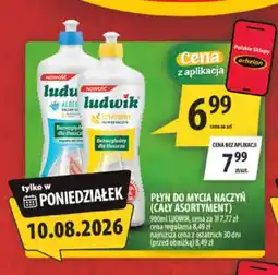 Arhelan Płyn do mycia naczyń Ludwik oferta