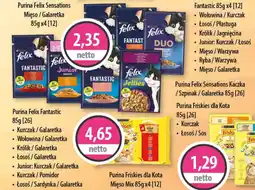 DUO-TES Purina Felix Fantastic oferta