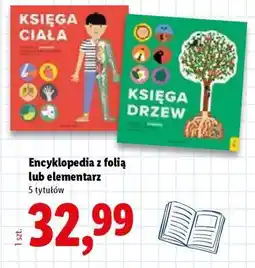 Lidl Encyklopedia z folią lub elementarz oferta