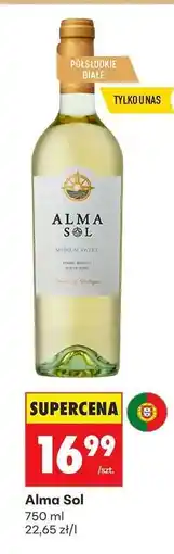 Biedronka Alma Sol oferta