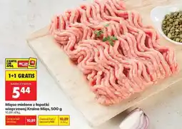 Biedronka Mięso mielone z łopatki wieprzowej Kraina Mięs 500 g oferta