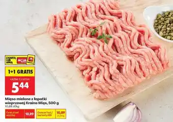 Biedronka Mięso mielone z łopatki wieprzowej Kraina Mięs 500 g oferta