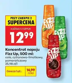 Biedronka Koncentrat napoju Fizz Up, 500 ml oferta