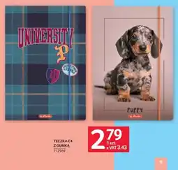 Selgros TECZKA C4 Z GUMKĄ oferta