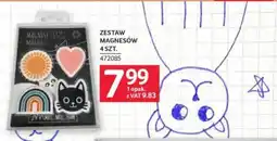 Selgros Zestaw magnesów oferta