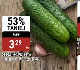 bi1 OGÓREK GRUNTOWY oferta