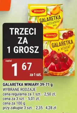 bi1 Galaretki Winiary oferta