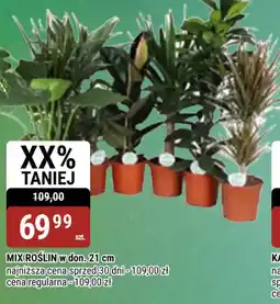 bi1 MIX ROŚLIN oferta